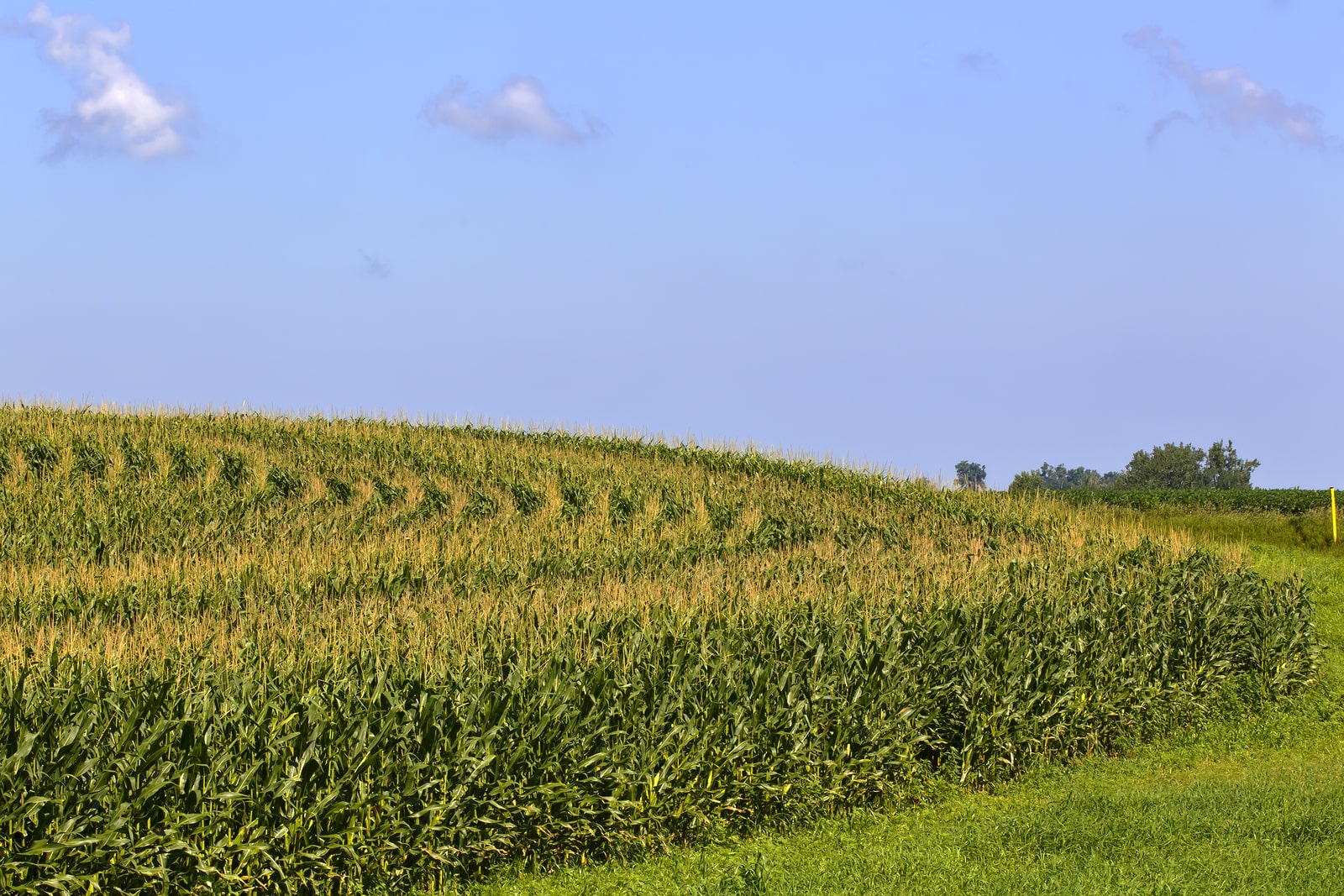 farm land agricultural